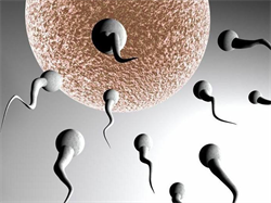 合法供卵试管网，美国Life IVF Center（生命试管婴儿中心）了解试管医院指南