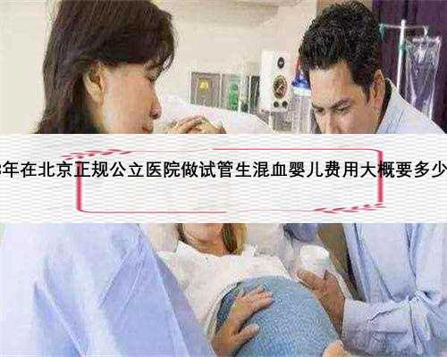 2023年在北京正规公立医院做试管生混血婴儿费用大概要多少啊？